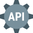 Custom API Integration