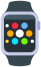 Wearable Integration